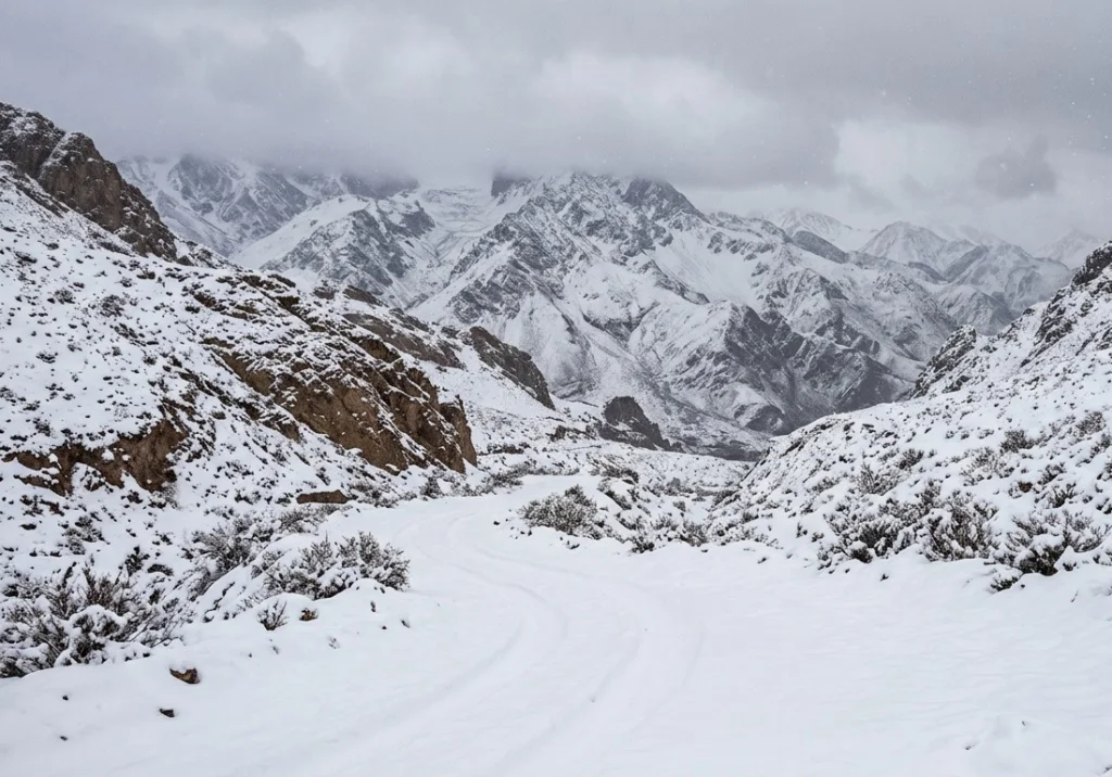 Nieve